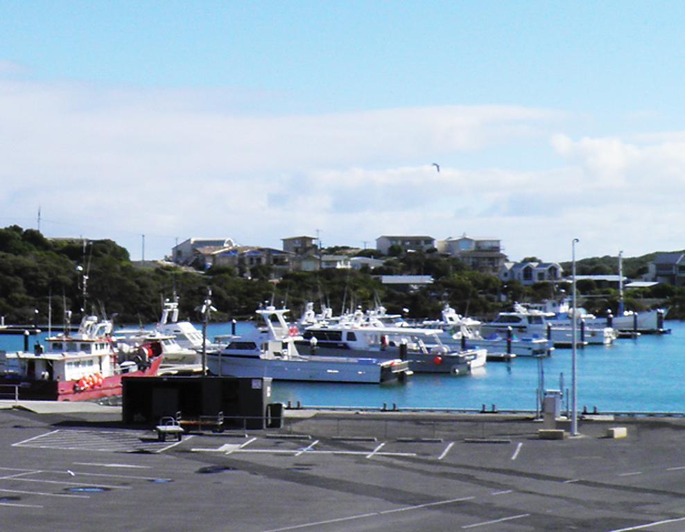 Marina Apartment *